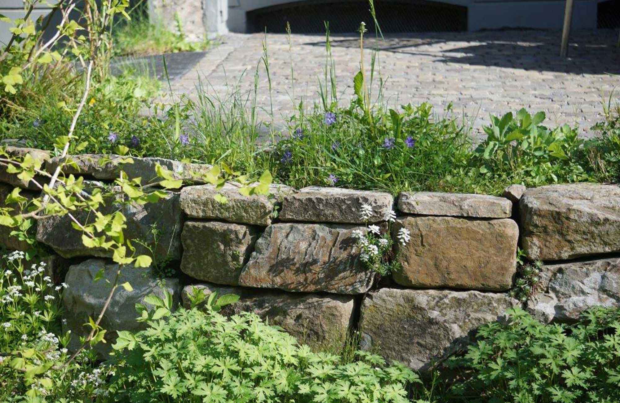 aussen-wohnanlagen_02