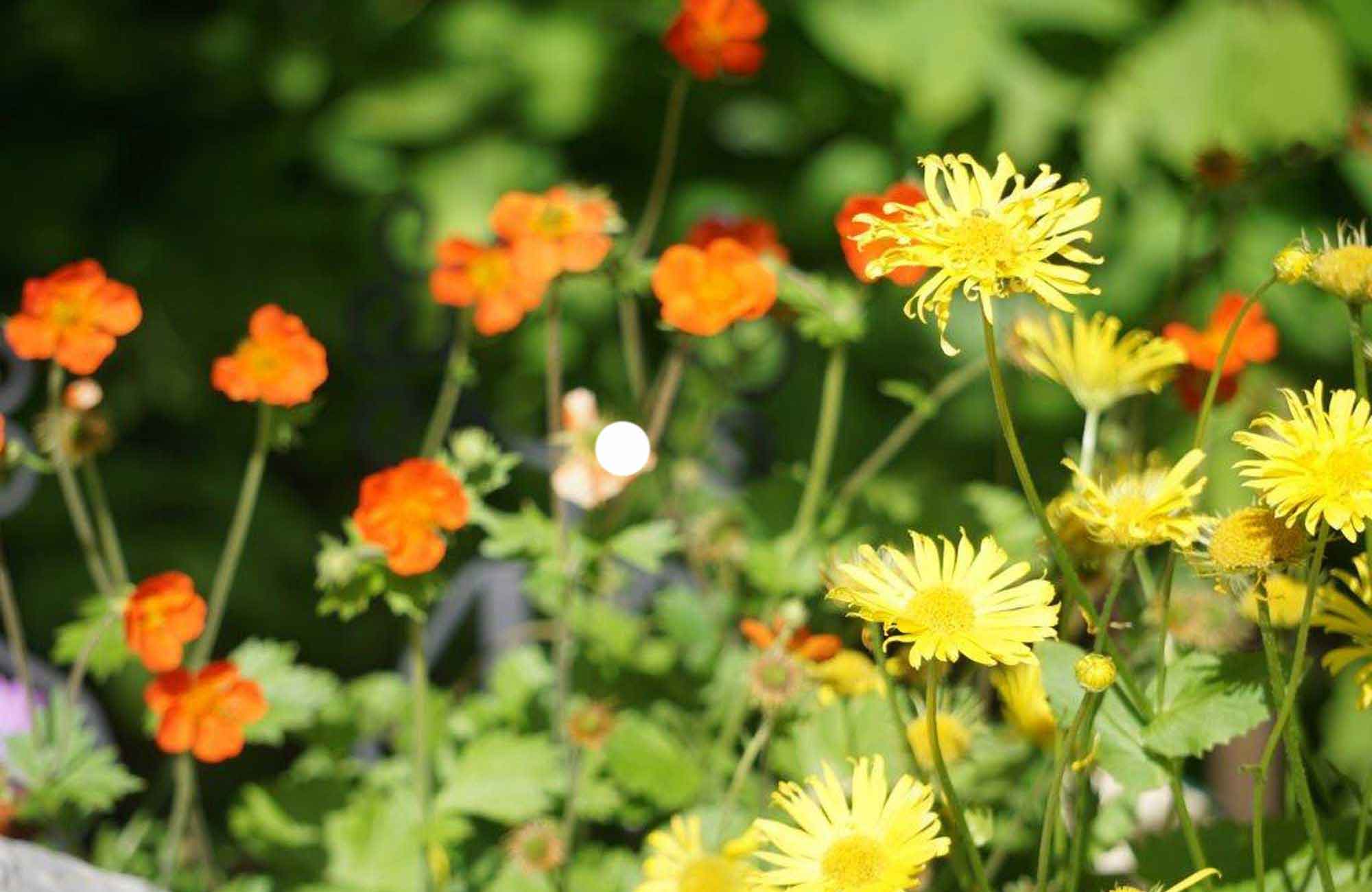 aussen-wohnanlagen_03